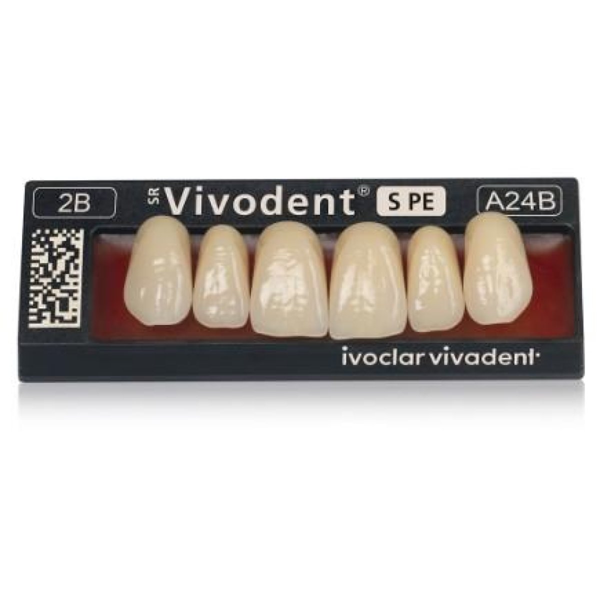 Sr Vivodent S Pe Obere Frontzähne A25 01 1 Set X 6 Zähne